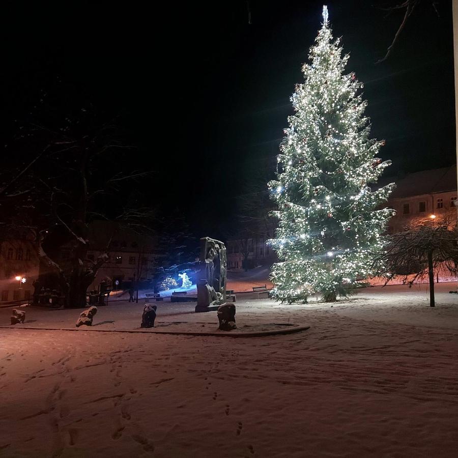 U Váhy Jáchymov Apartamento Exterior foto